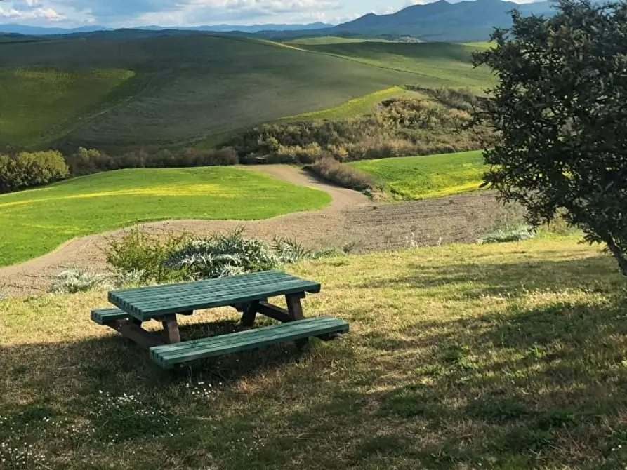 terreno agricolo in vendita a Peccioli