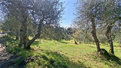 terreno in vendita a Peccioli in zona Legoli