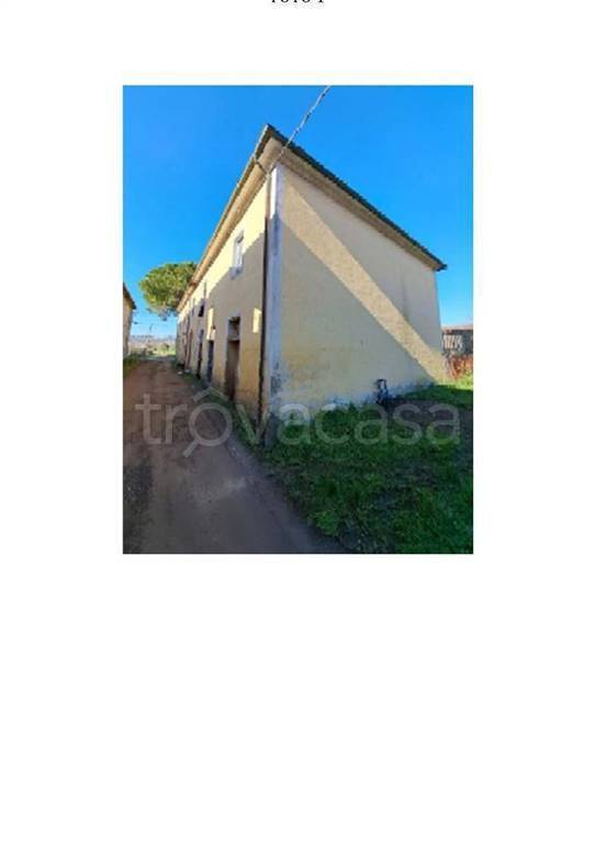 appartamento in vendita a Peccioli