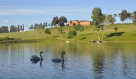 azienda agricola in vendita a Peccioli
