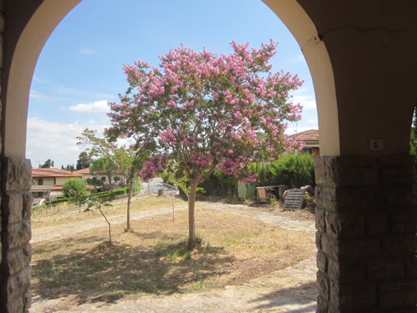 casa indipendente in vendita a Peccioli in zona Fabbrica
