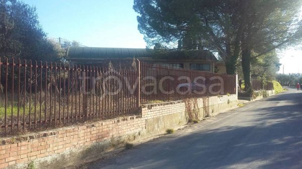 appartamento in vendita a Peccioli in zona Montecchio