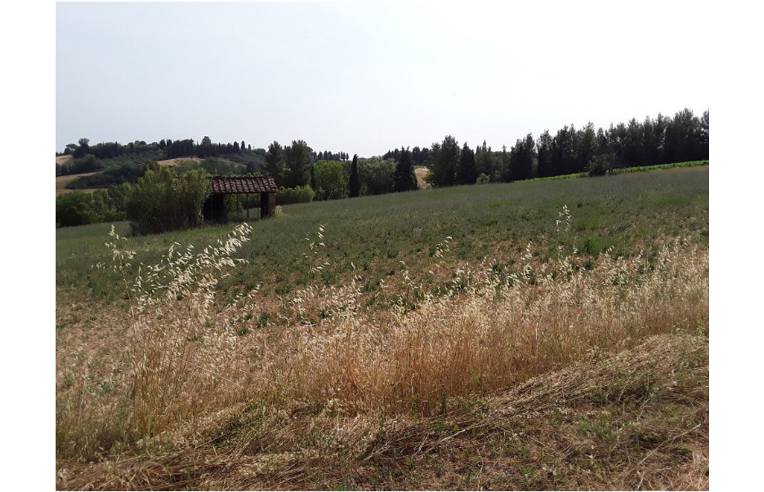 terreno in vendita a Peccioli in zona Fabbrica