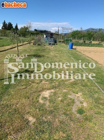 terreno agricolo in vendita a Pisa in zona Putignano