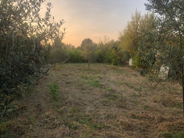 terreno agricolo in vendita a Pisa in zona Quartiere San Giusto