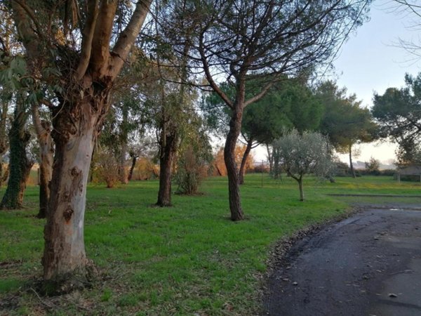 appartamento in vendita a Pisa in zona Marina di Pisa