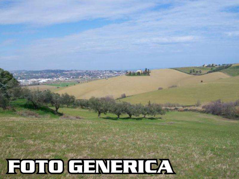 terreno agricolo in vendita a Pisa in zona Centro Storico