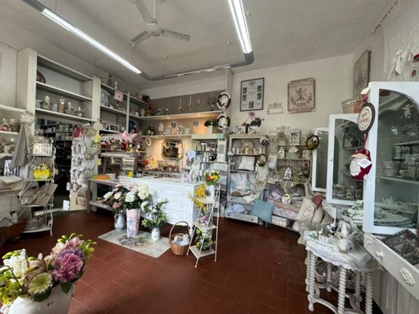 negozio in vendita a Pisa in zona Lungarni