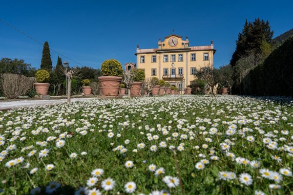 negozio in vendita a Pisa in zona Porta a Lucca
