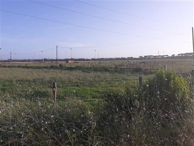 terreno agricolo in vendita a Pisa