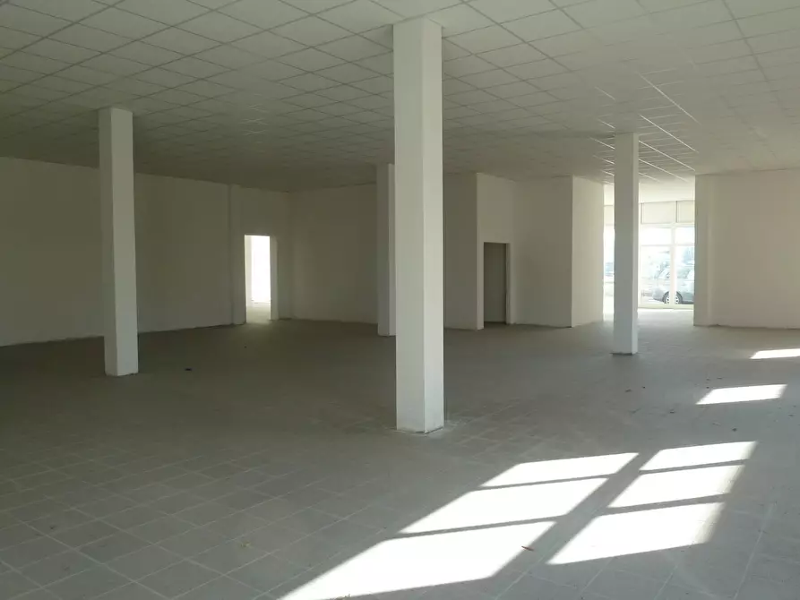 negozio in vendita a Pisa in zona Santa Marta