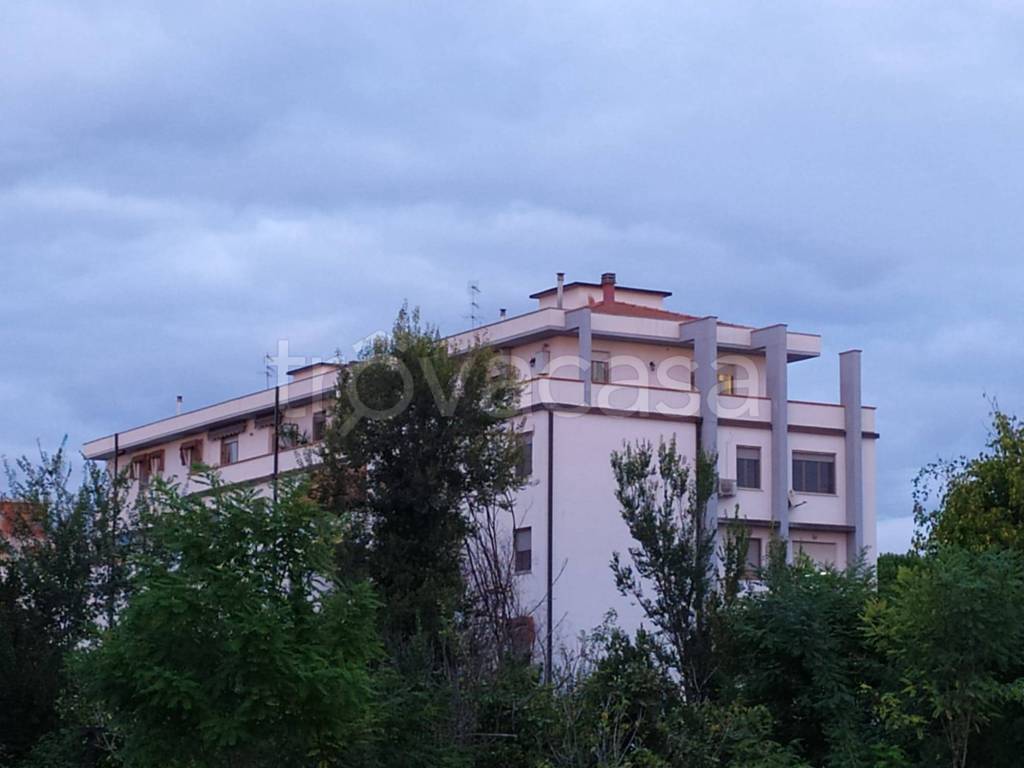 appartamento in vendita a Pisa in zona Le Piagge