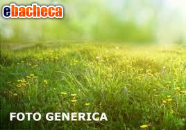 terreno agricolo in vendita a Pisa in zona San Piero a Grado