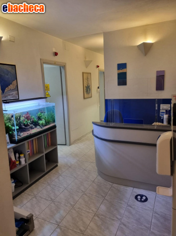 ufficio in vendita a Pisa