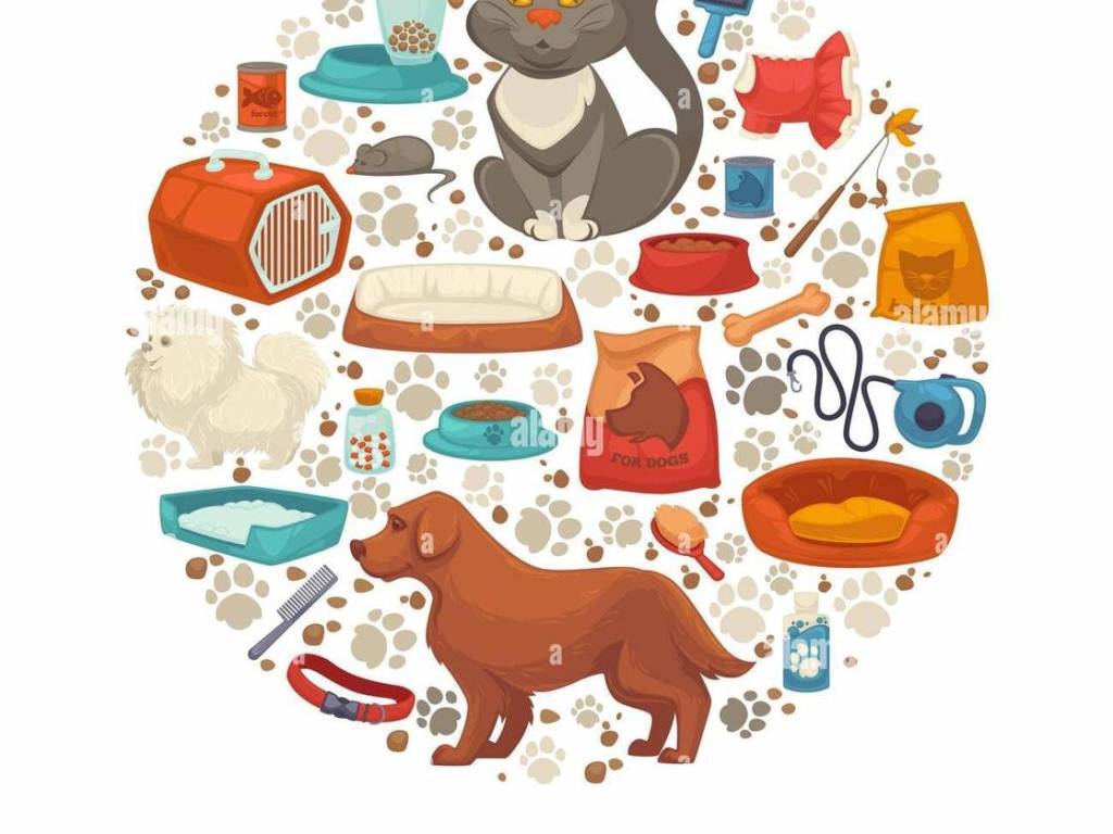 negozio in vendita a Pisa in zona Quartiere Sant'Antonio