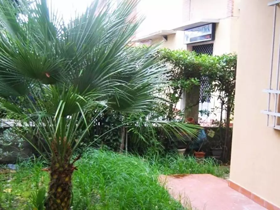 appartamento in vendita a Pisa in zona La Palazzina