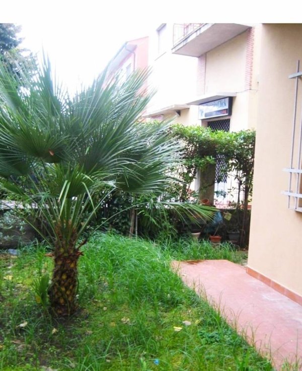 appartamento in vendita a Pisa in zona La Palazzina