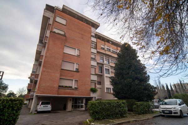 appartamento in vendita a Pisa in zona Cisanello