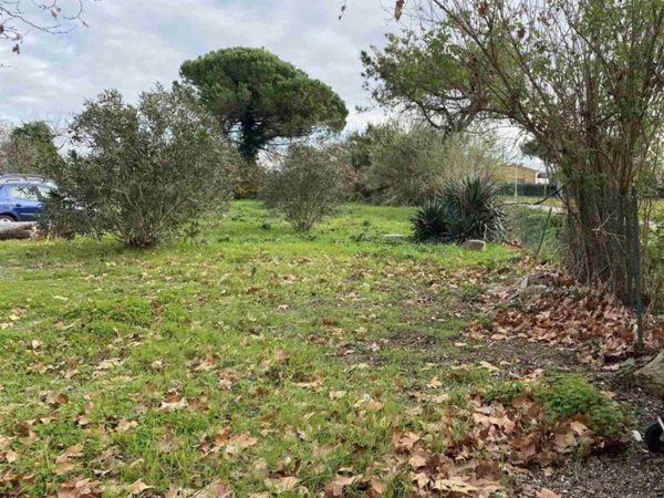appartamento in vendita a Pisa in zona Coltano