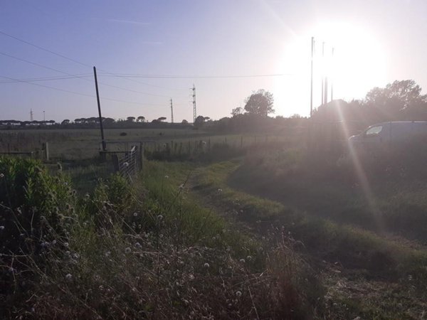terreno agricolo in vendita a Pisa