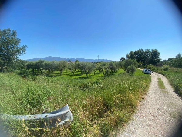 terreno agricolo in vendita a Pisa in zona Putignano