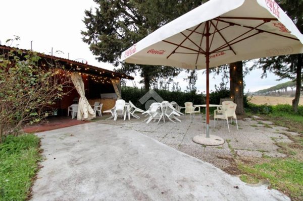 negozio in vendita a Pisa in zona Coltano