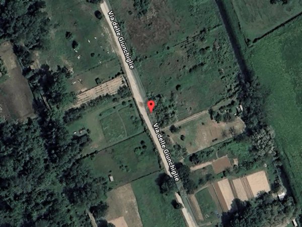 negozio in vendita a Pisa in zona Tirrenia