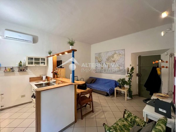 appartamento in vendita a Pisa in zona Quartiere Sant'Antonio