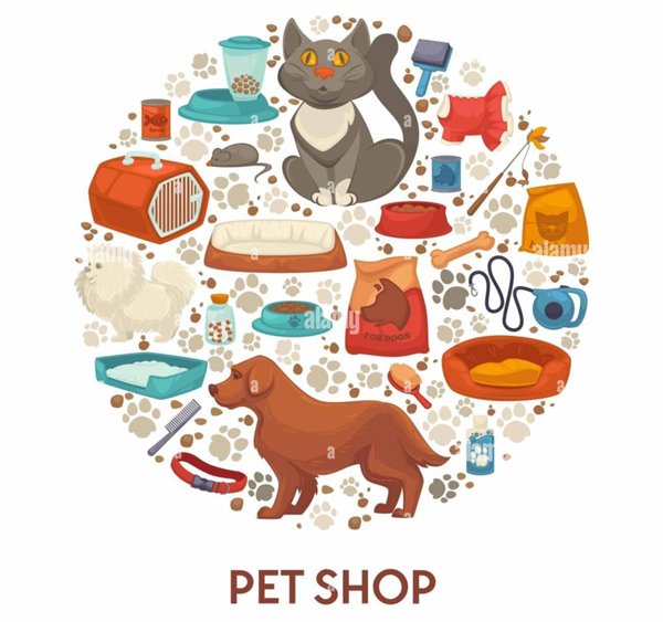 negozio in vendita a Pisa in zona Centro Storico