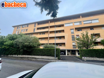 appartamento in vendita a Pisa in zona Barbaricina