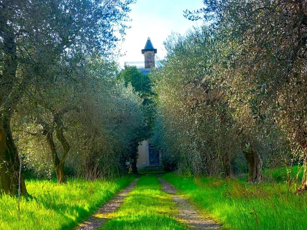 casa indipendente in vendita a Pisa in zona Centro Storico