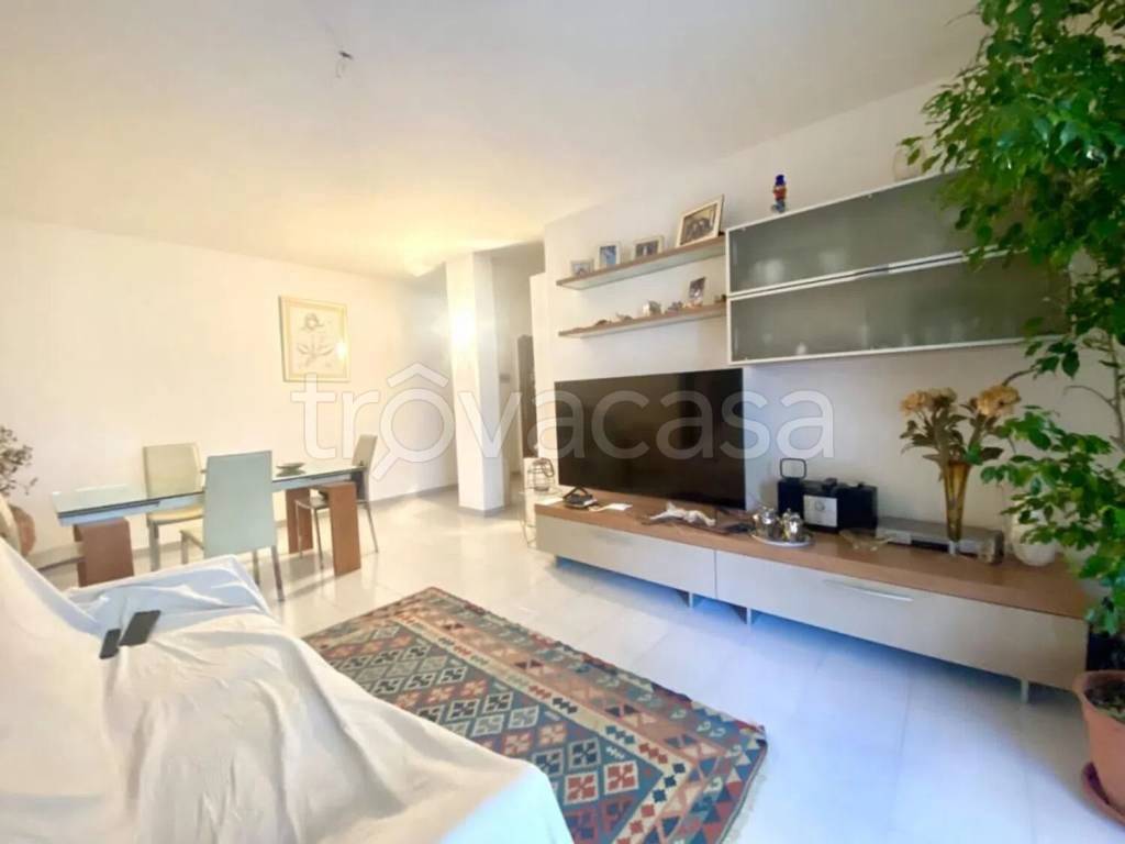 appartamento in vendita a Pisa in zona Quartiere San Martino