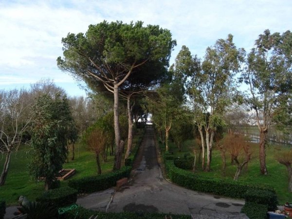 appartamento in vendita a Pisa in zona Marina di Pisa