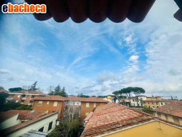 appartamento in vendita a Pisa in zona Barbaricina