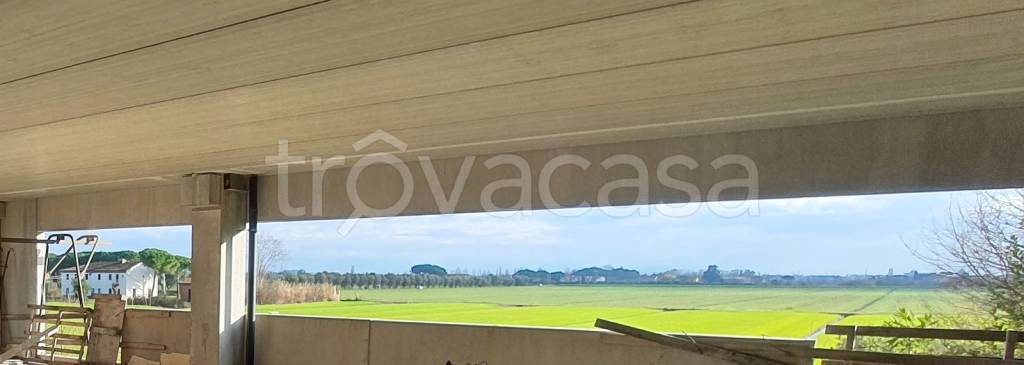 negozio in vendita a Pisa in zona Porta a Lucca