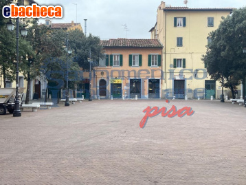 appartamento in vendita a Pisa in zona Quartiere San Martino