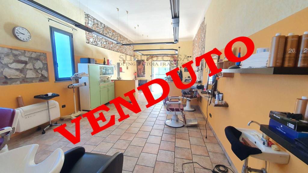 appartamento in vendita a Pisa