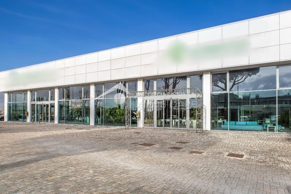 negozio in vendita a Pisa in zona Ospedaletto