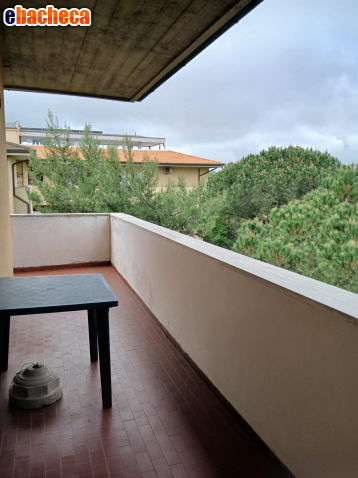 appartamento in vendita a Pisa in zona Le Piagge