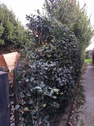 appartamento in vendita a Pisa in zona Riglione
