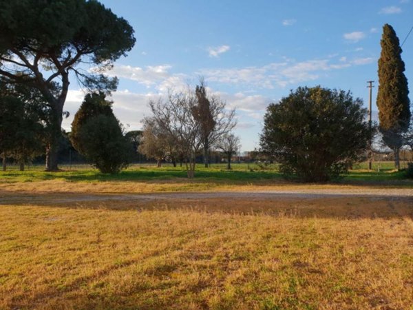 casa indipendente in vendita a Pisa in zona Coltano