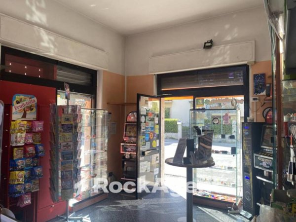 negozio in vendita a Pisa in zona Porta a Lucca