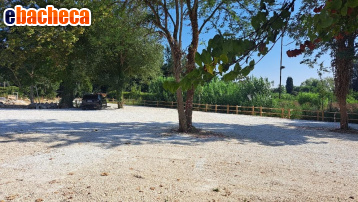 appartamento in vendita a Pisa in zona La Vettola