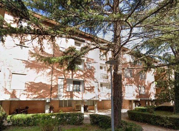 appartamento in vendita a Pisa in zona Barbaricina