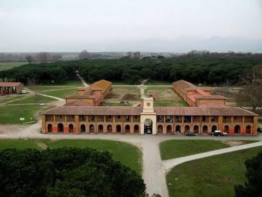 casa indipendente in vendita a Pisa in zona Barbaricina