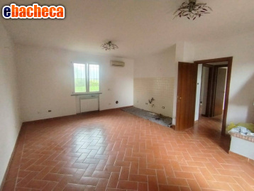 casa indipendente in vendita a Pisa in zona Centro Storico