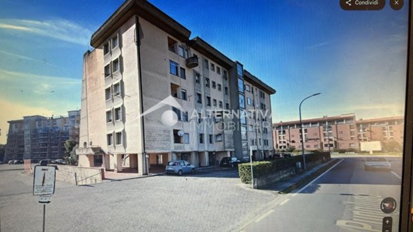appartamento in vendita a Pisa in zona Cisanello