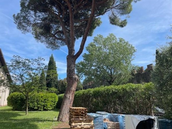appartamento in vendita a Pisa