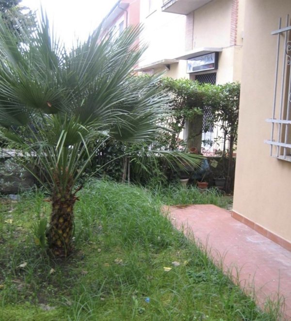 appartamento in vendita a Pisa in zona Pratale / Don Bosco