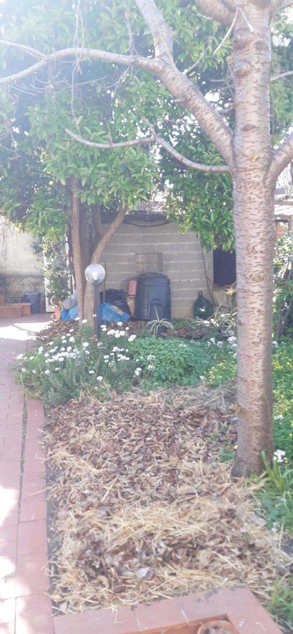 intera palazzina in vendita a Pisa in zona Stazione